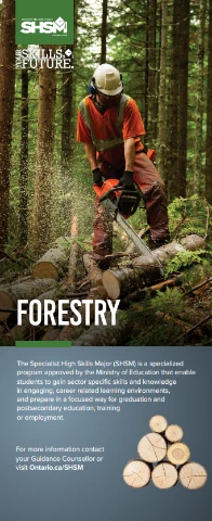 Forestry 2